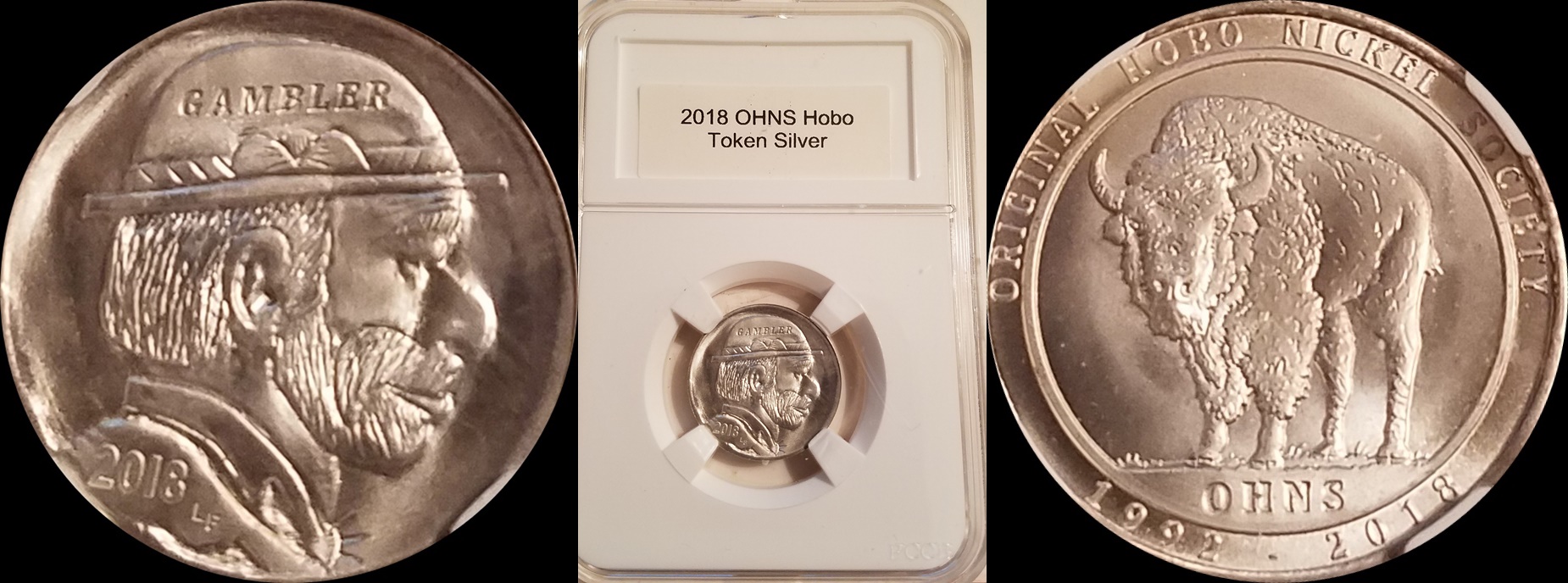 2018 OHNS Silver 1a-horz.jpg