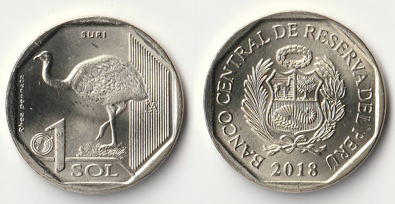 2018 peru 1 sol bird.jpg