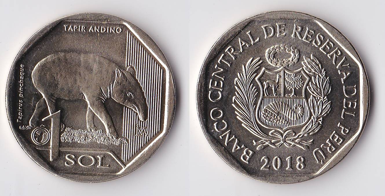 2018 peru 1 sol tapir.jpg