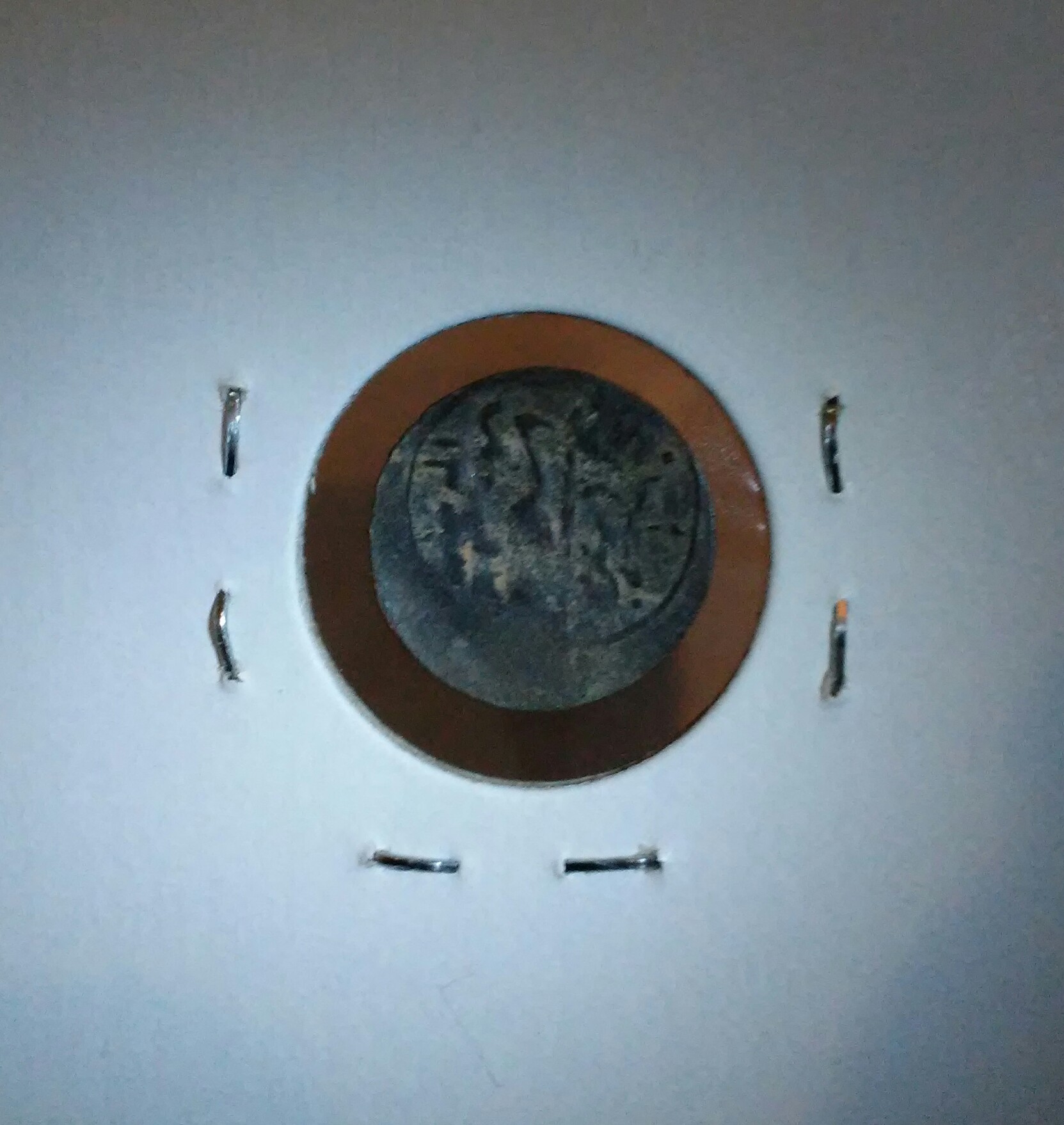 20180112_161935.jpg