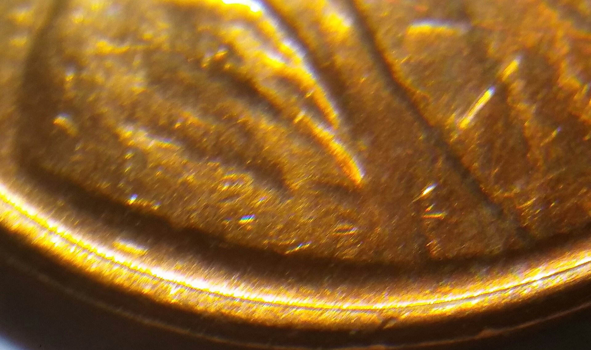 20180113_060434.jpg