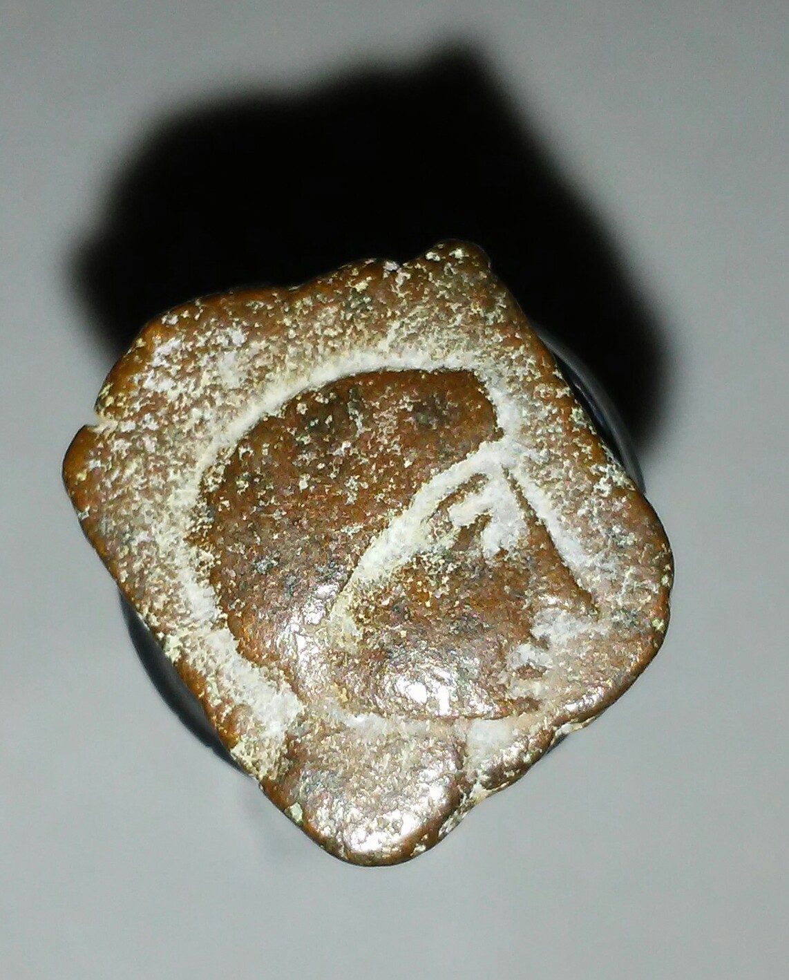 20180113_190835.jpg