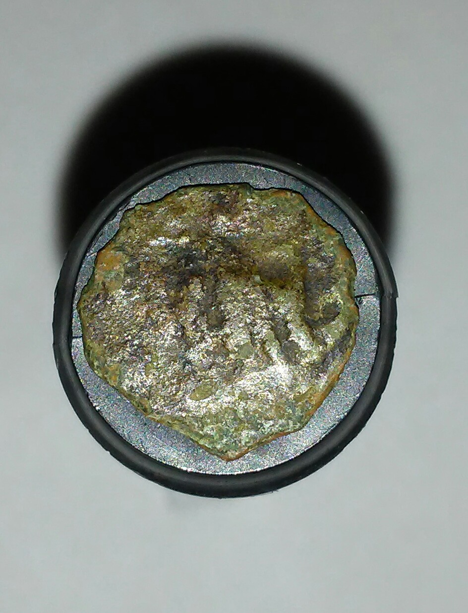 20180113_191011.jpg