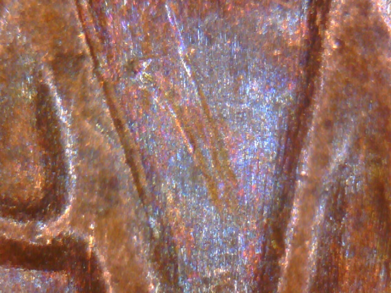 20180114_100255.jpg