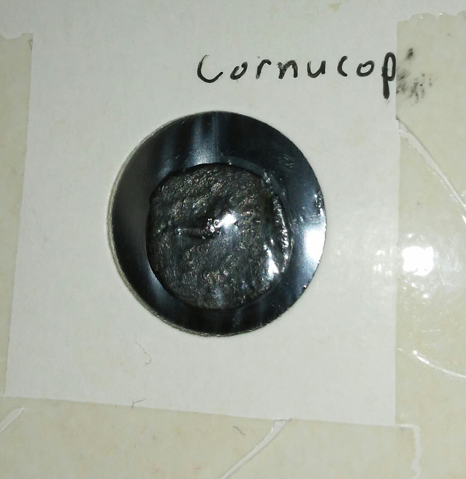 20180114_114619.jpg