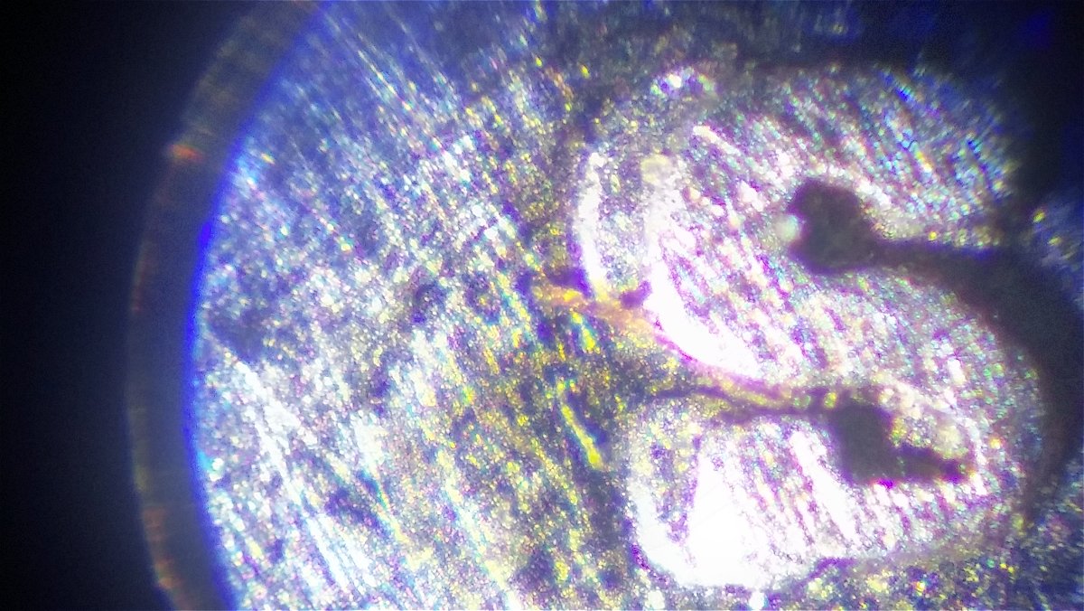 20180119_203029_HDR-ccfopt.jpg