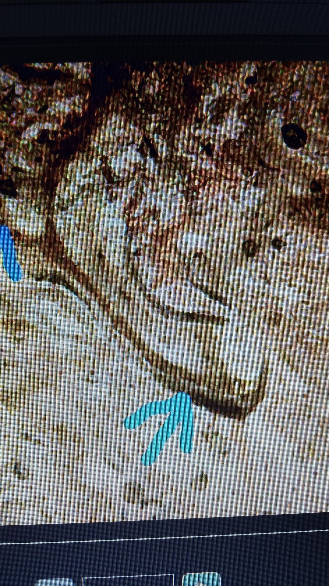 20180119_213831.jpg