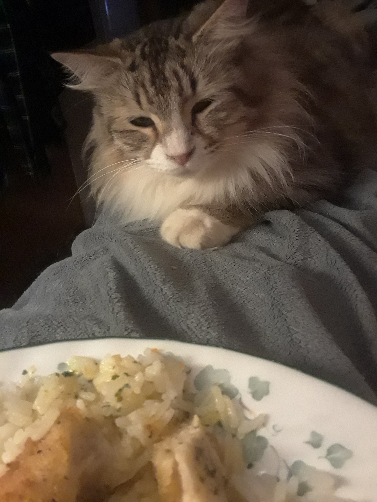 20180123_140809.jpg