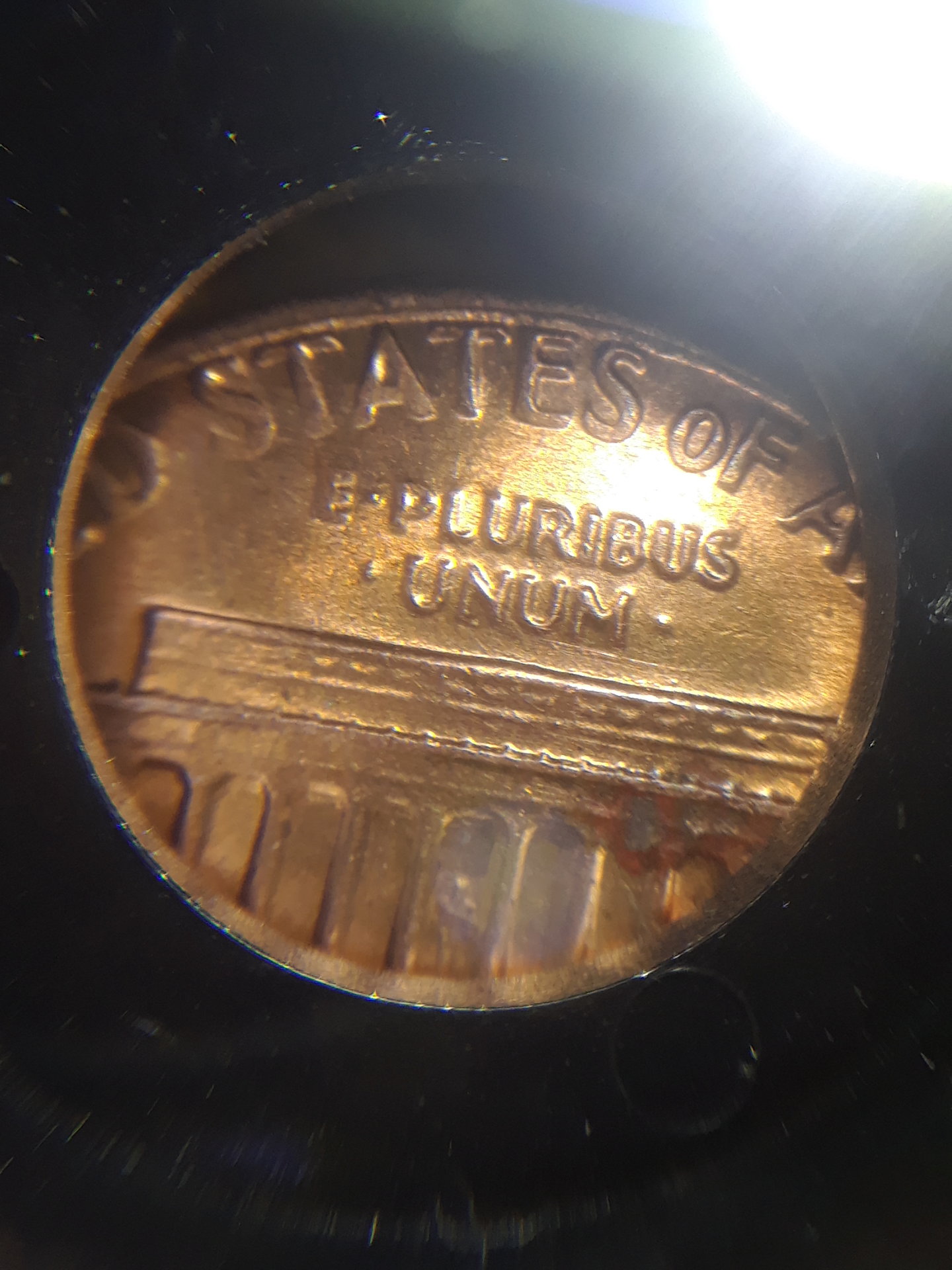 20180124_223839[1].jpg