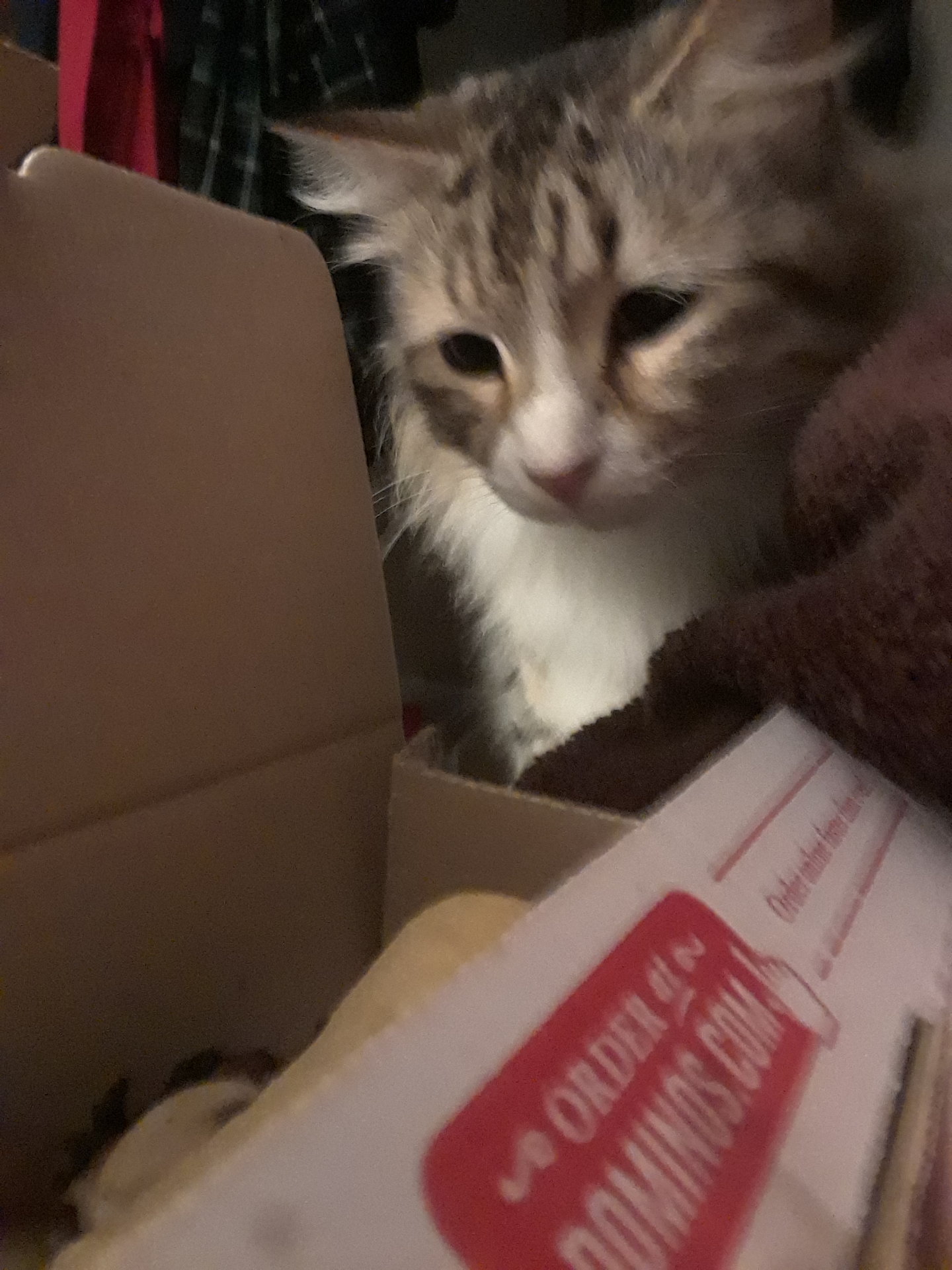 20180125_210855.jpg
