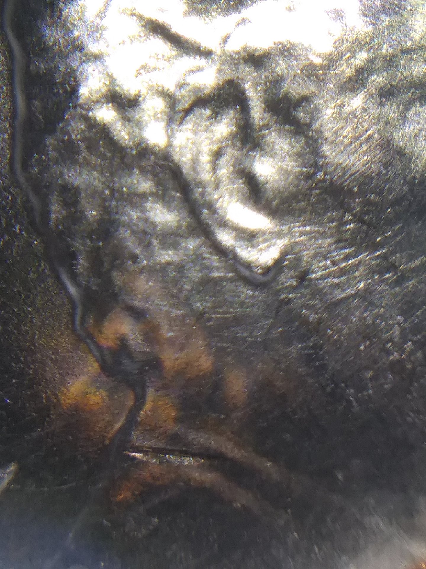 20180126_200230.jpg