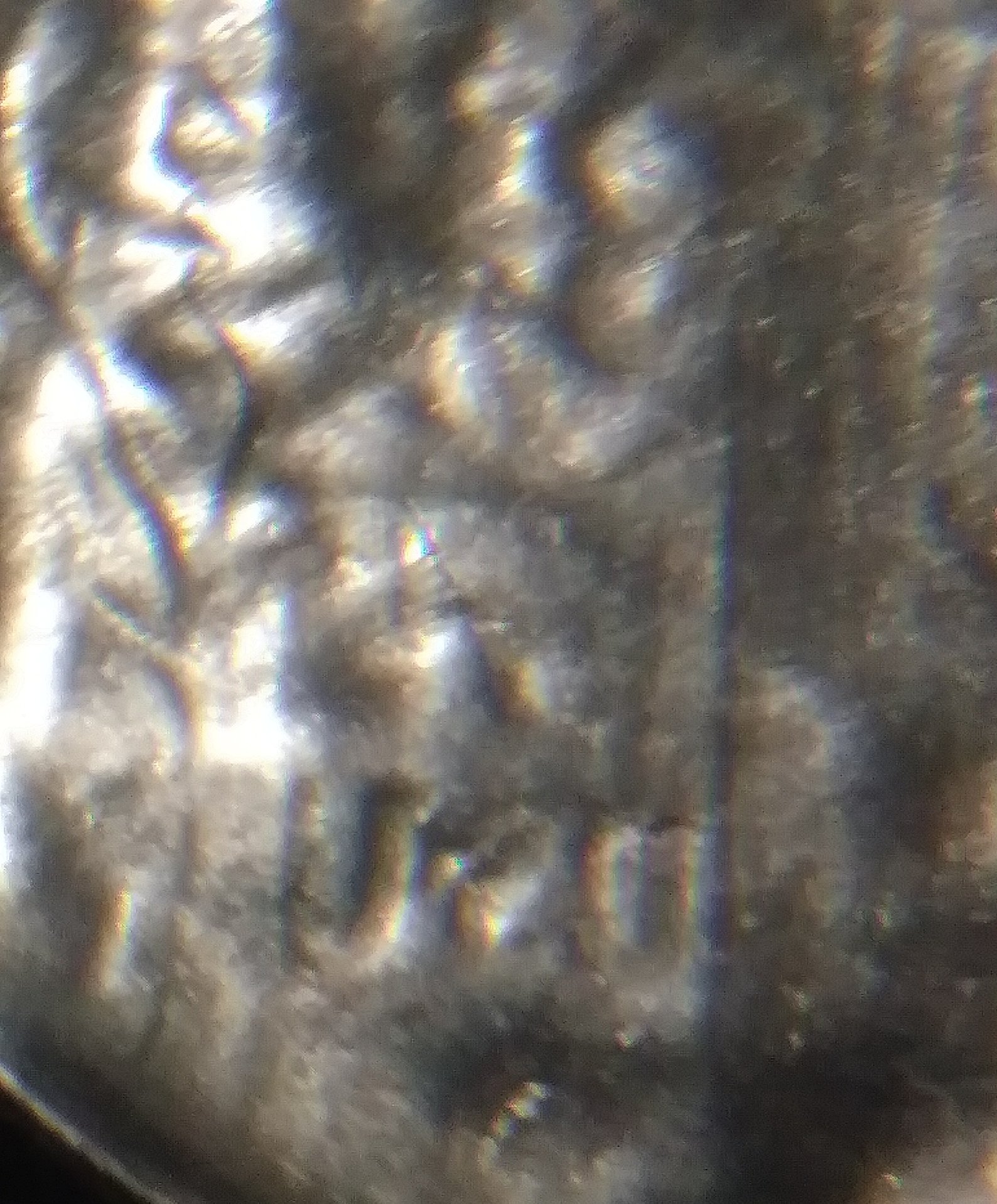 20180204_204917.jpg