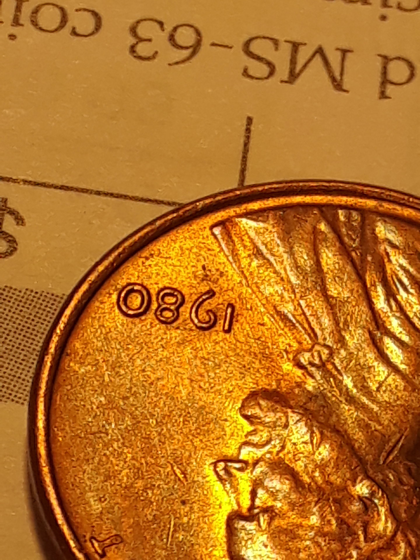 20180207_044723.jpg