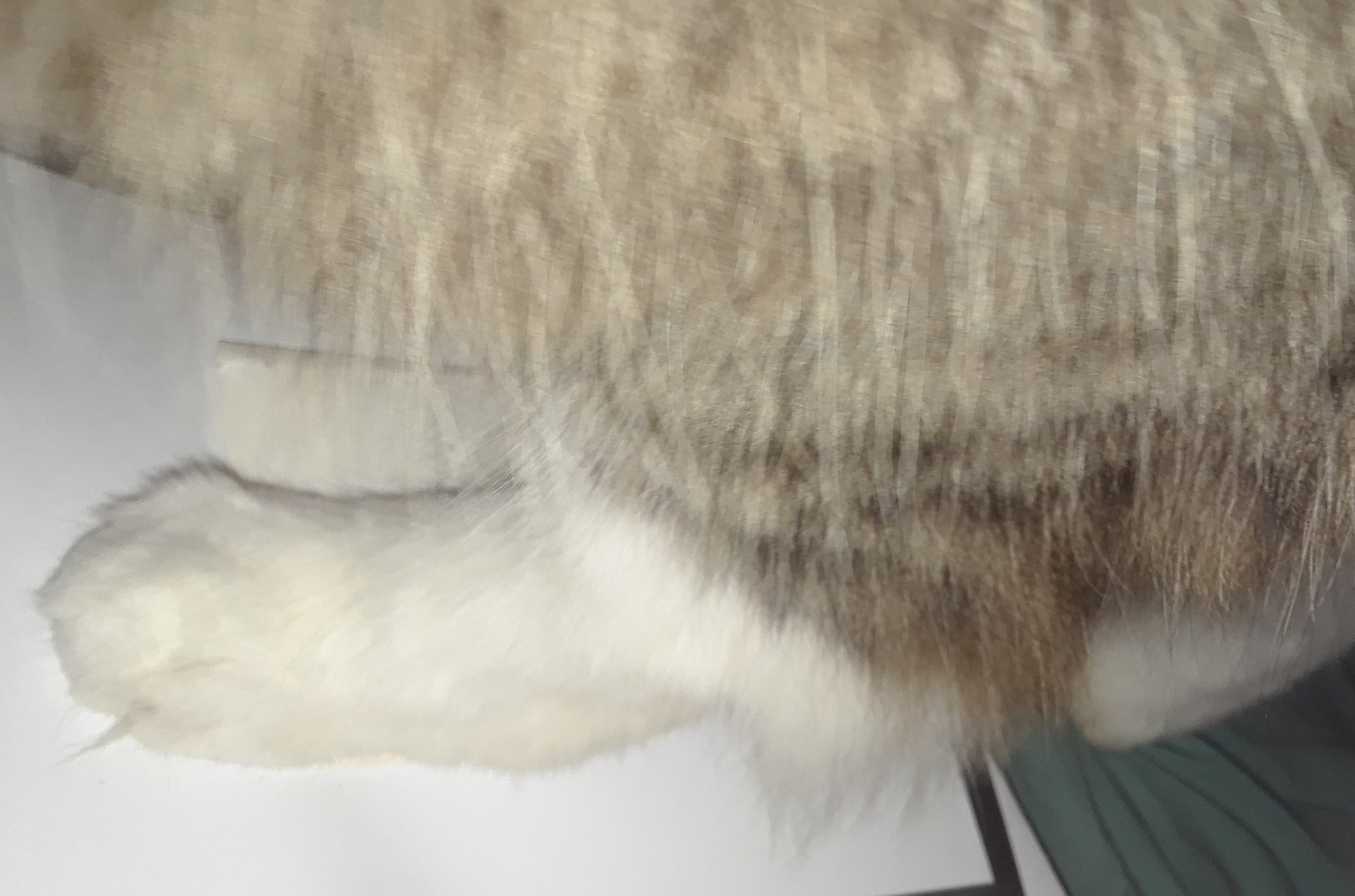 20180211_131828.jpg