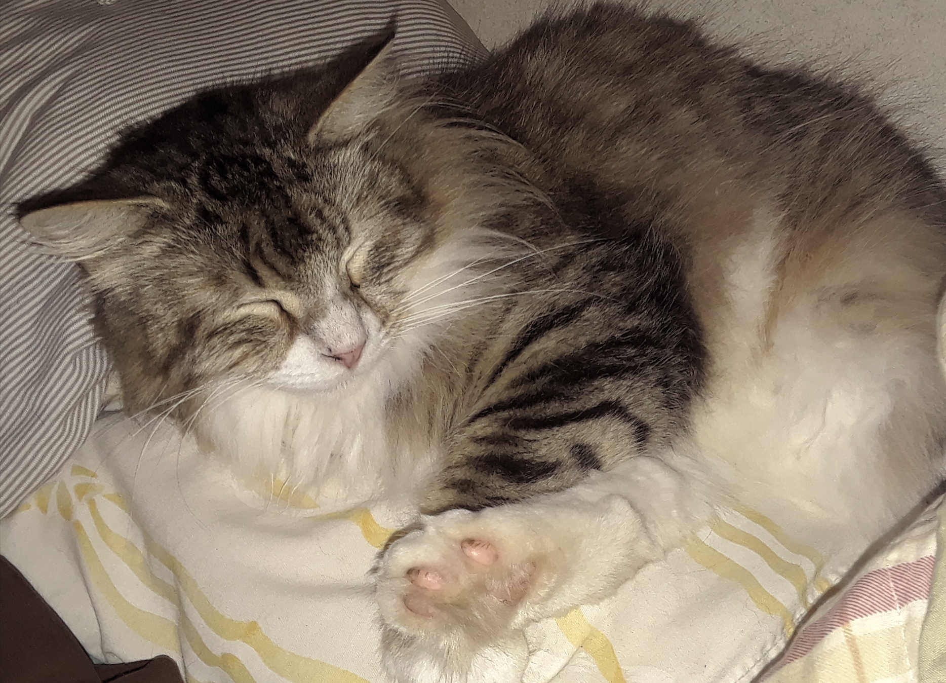 20180211_133913.jpg