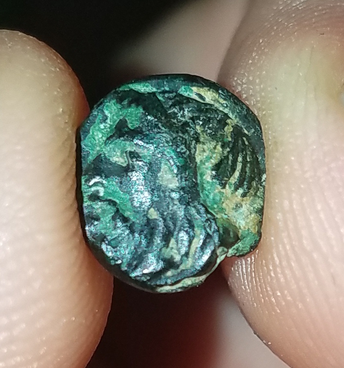20180216_185613.jpg