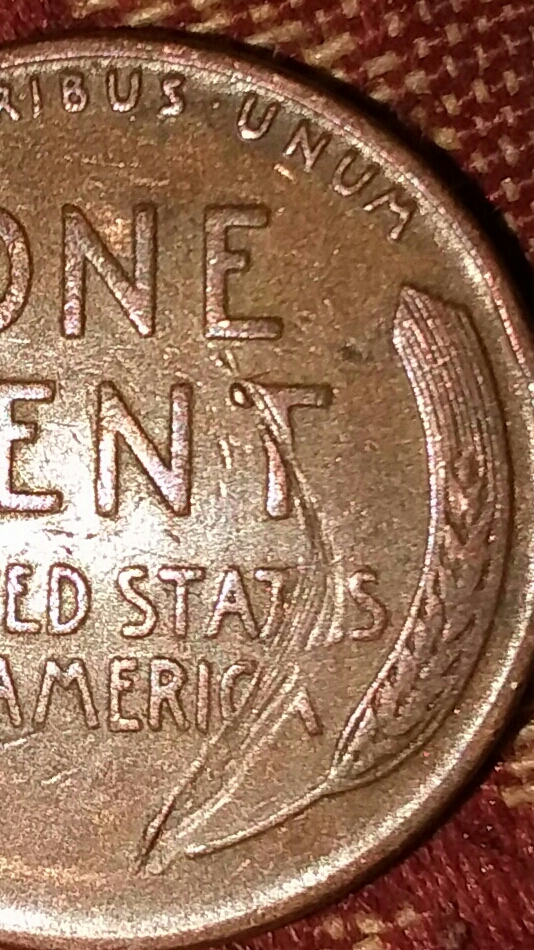 20180223_224734.jpg