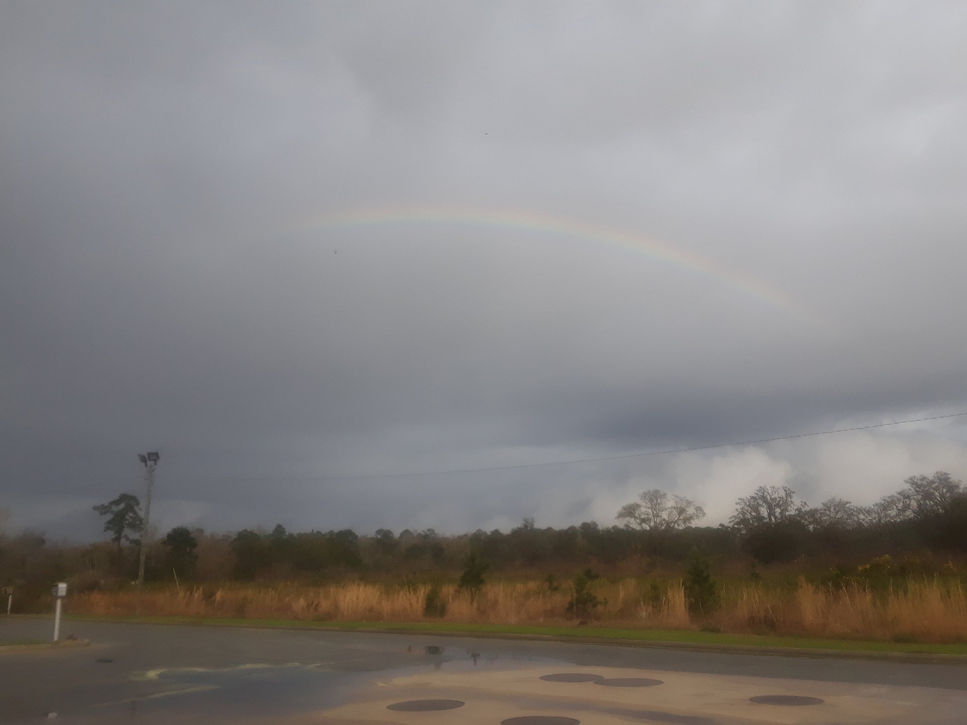 20180226_165358.jpg