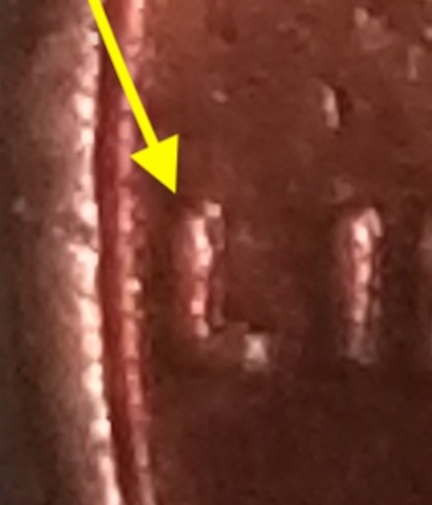 20180227_121456 copy 2.jpg