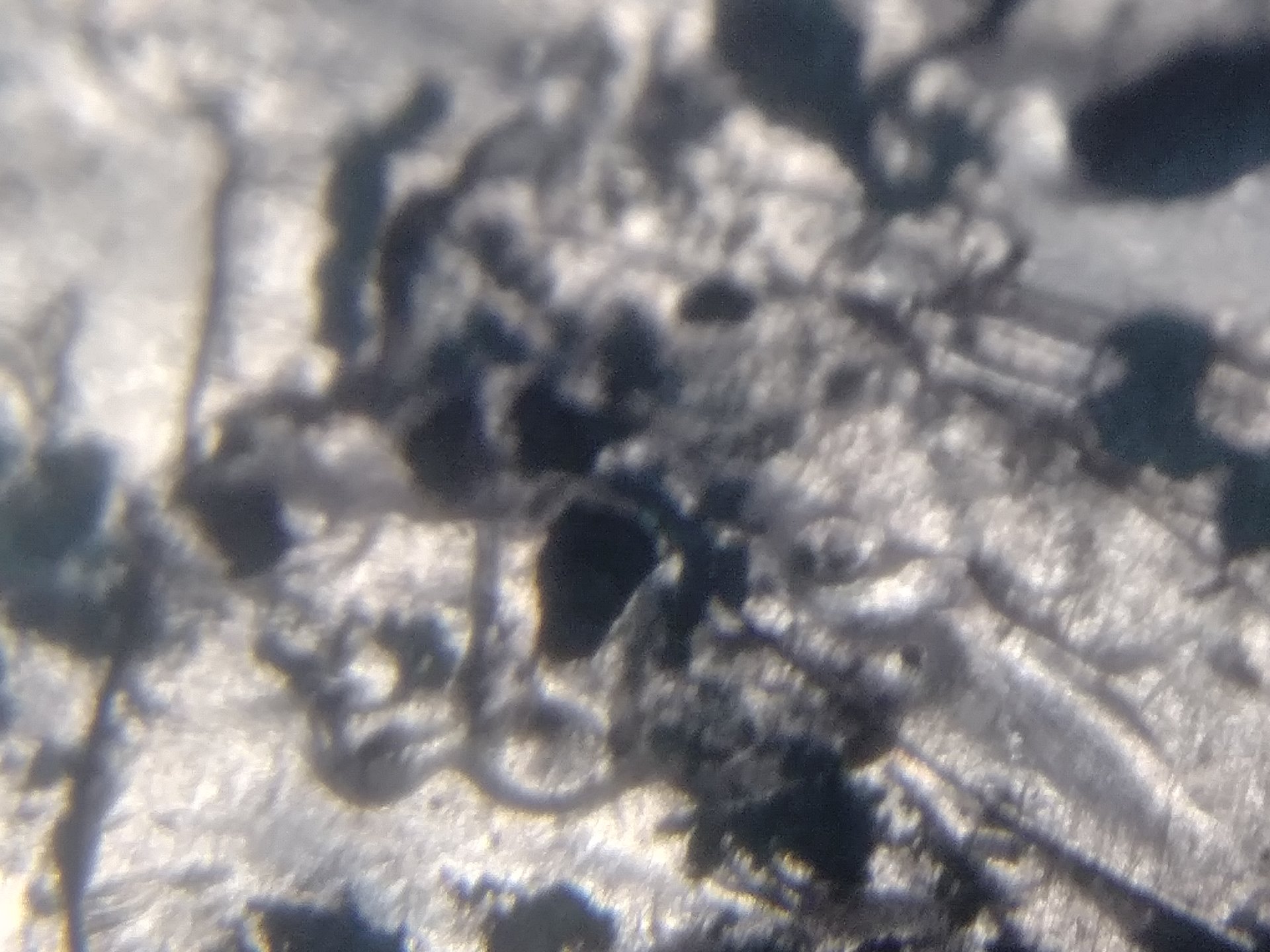 20180301_183229_HDR.jpg