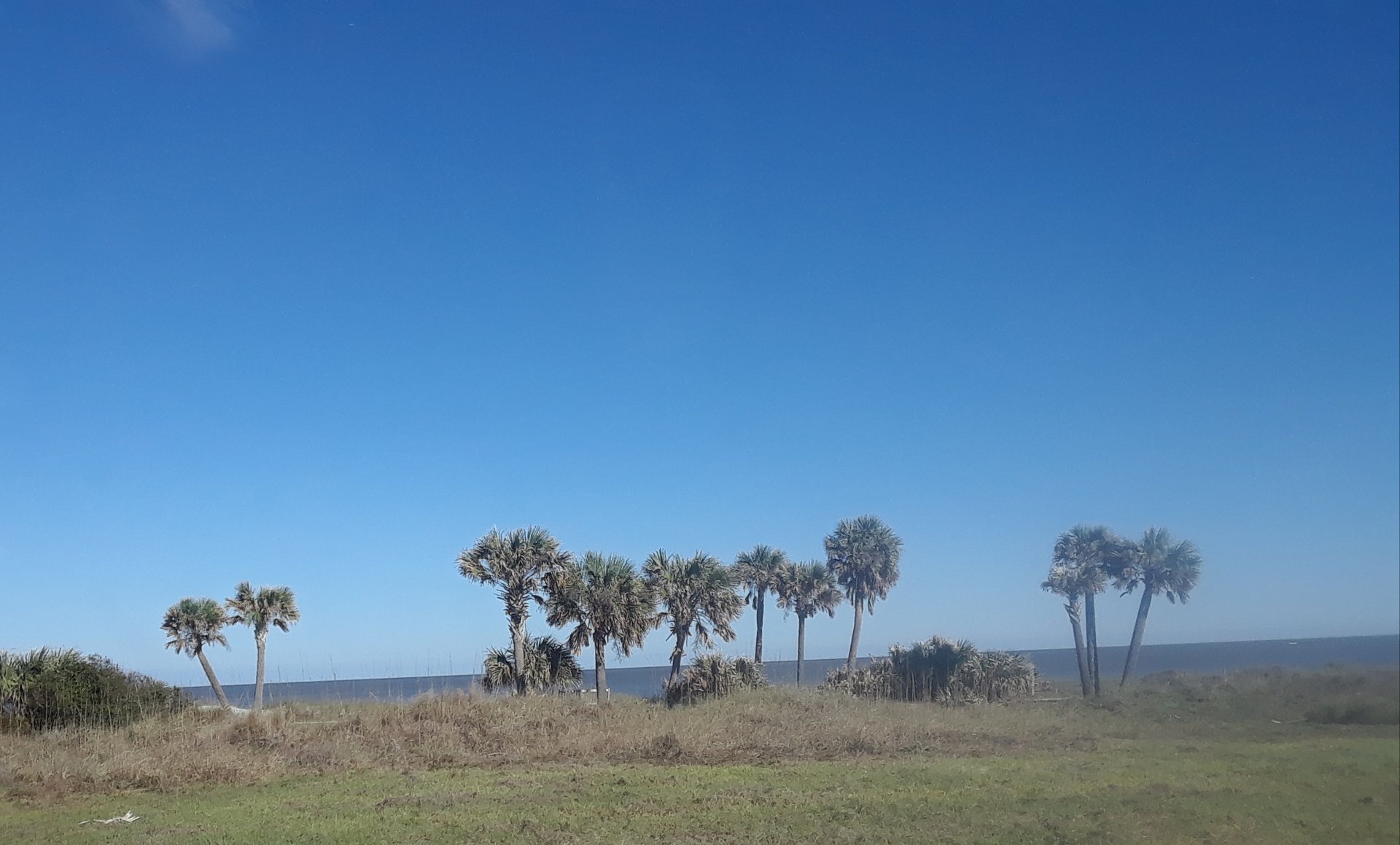 20180302_165924.jpg