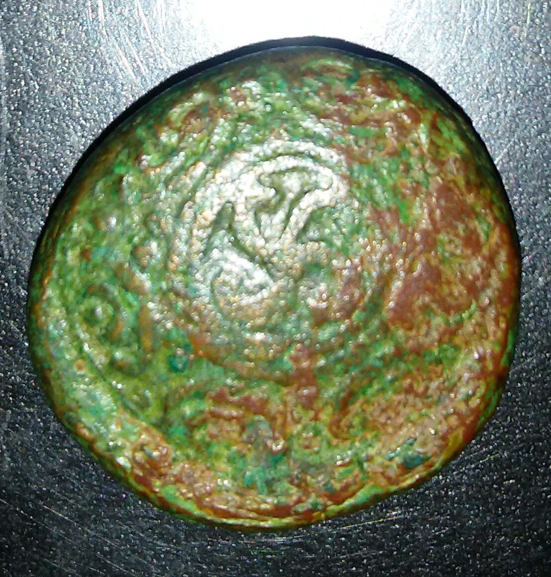 20180303_114844.jpg
