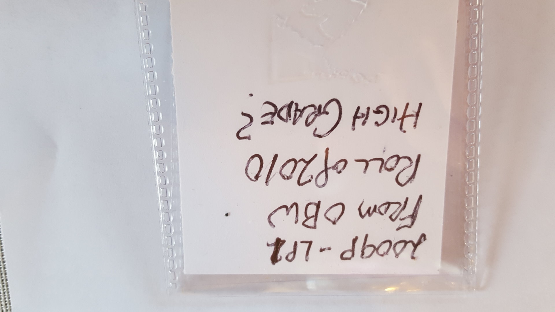 20180304_170345.jpg