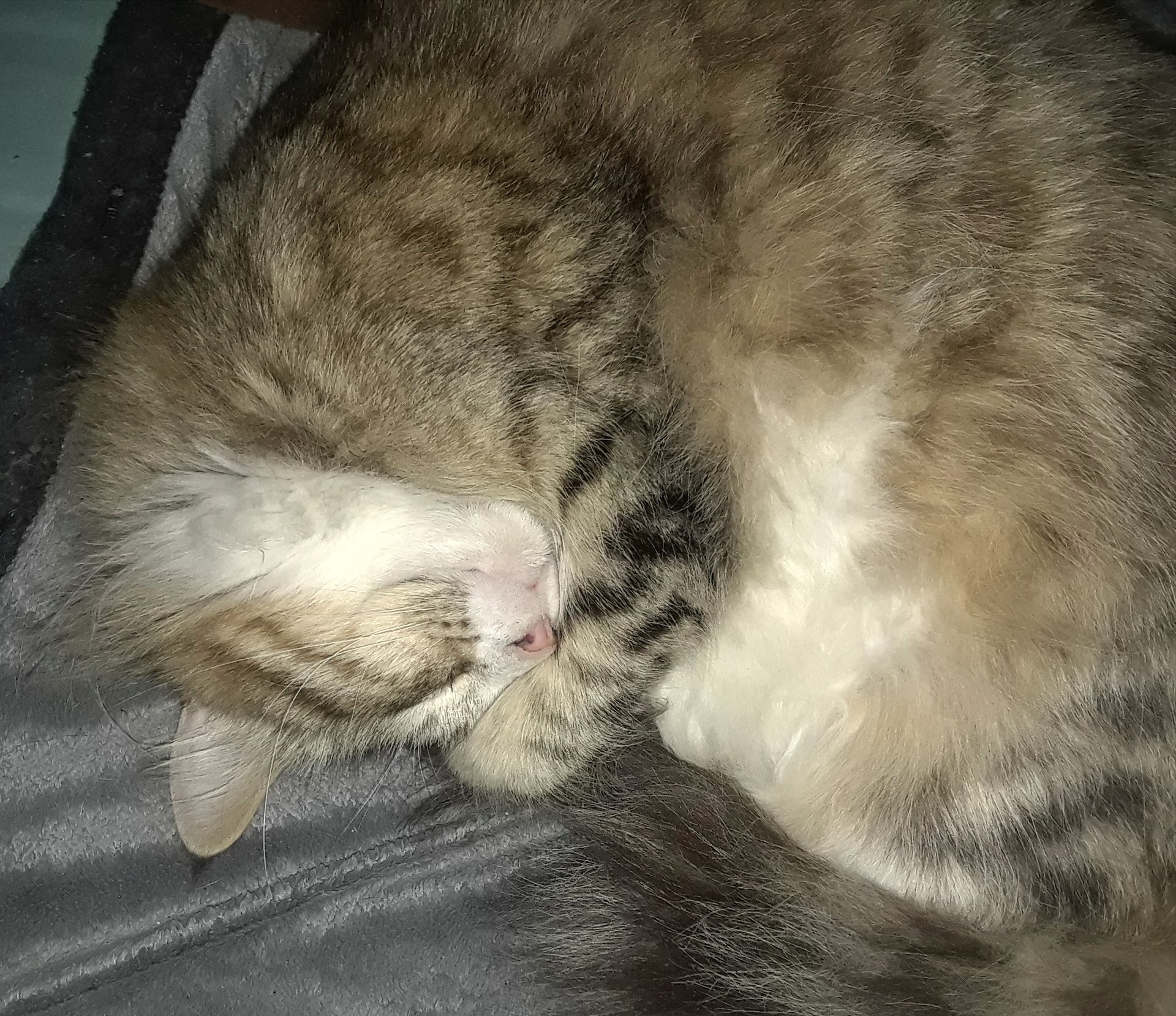 20180305_113330.jpg