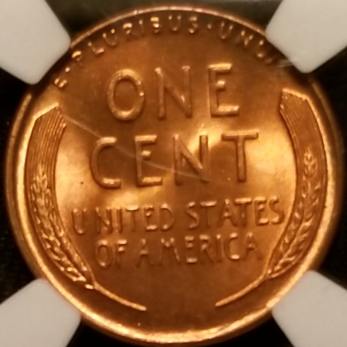 20180308_214854-ccfopt.jpg
