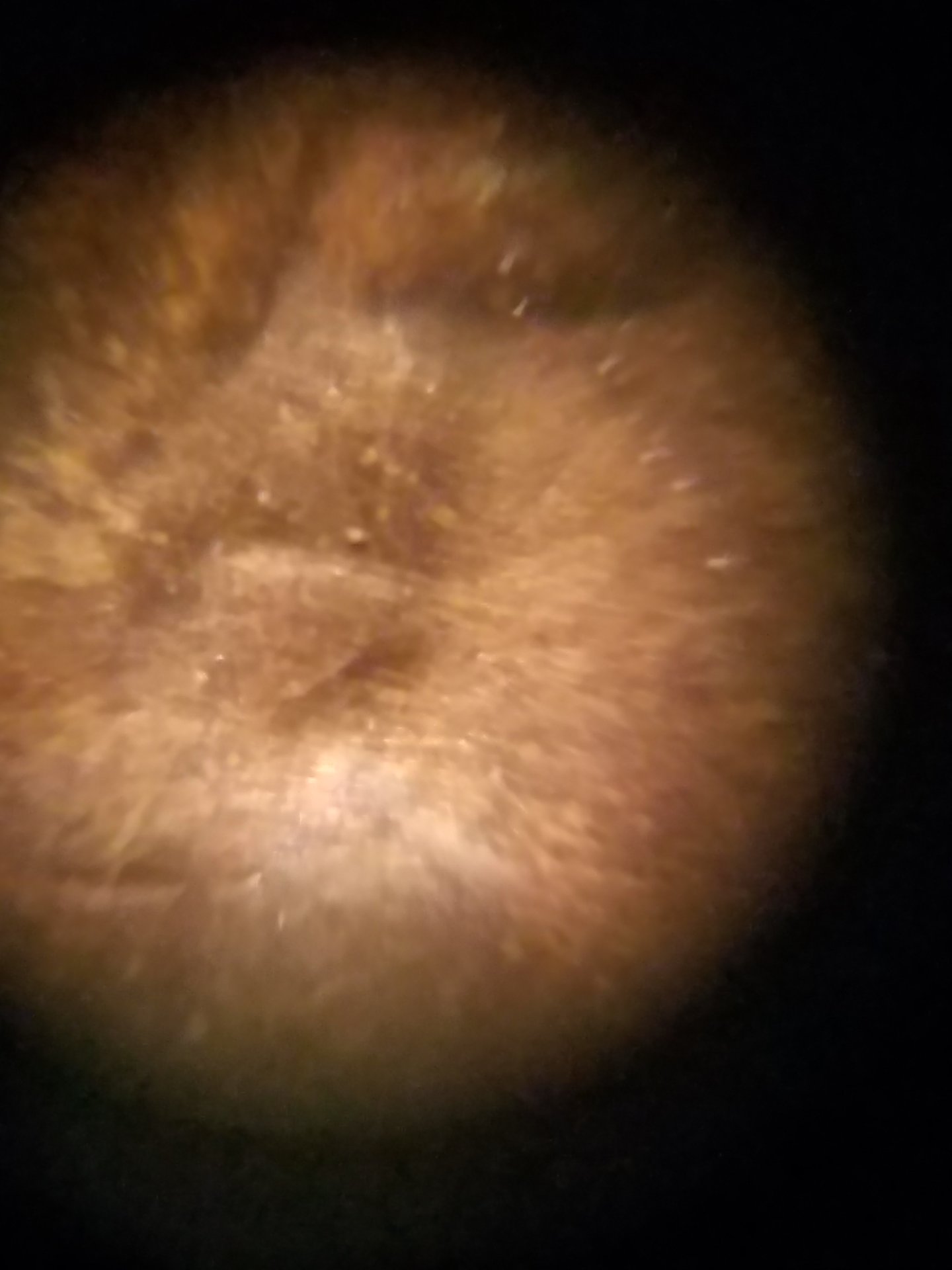 20180315_163624.jpg
