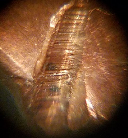 20180315_194201.jpg