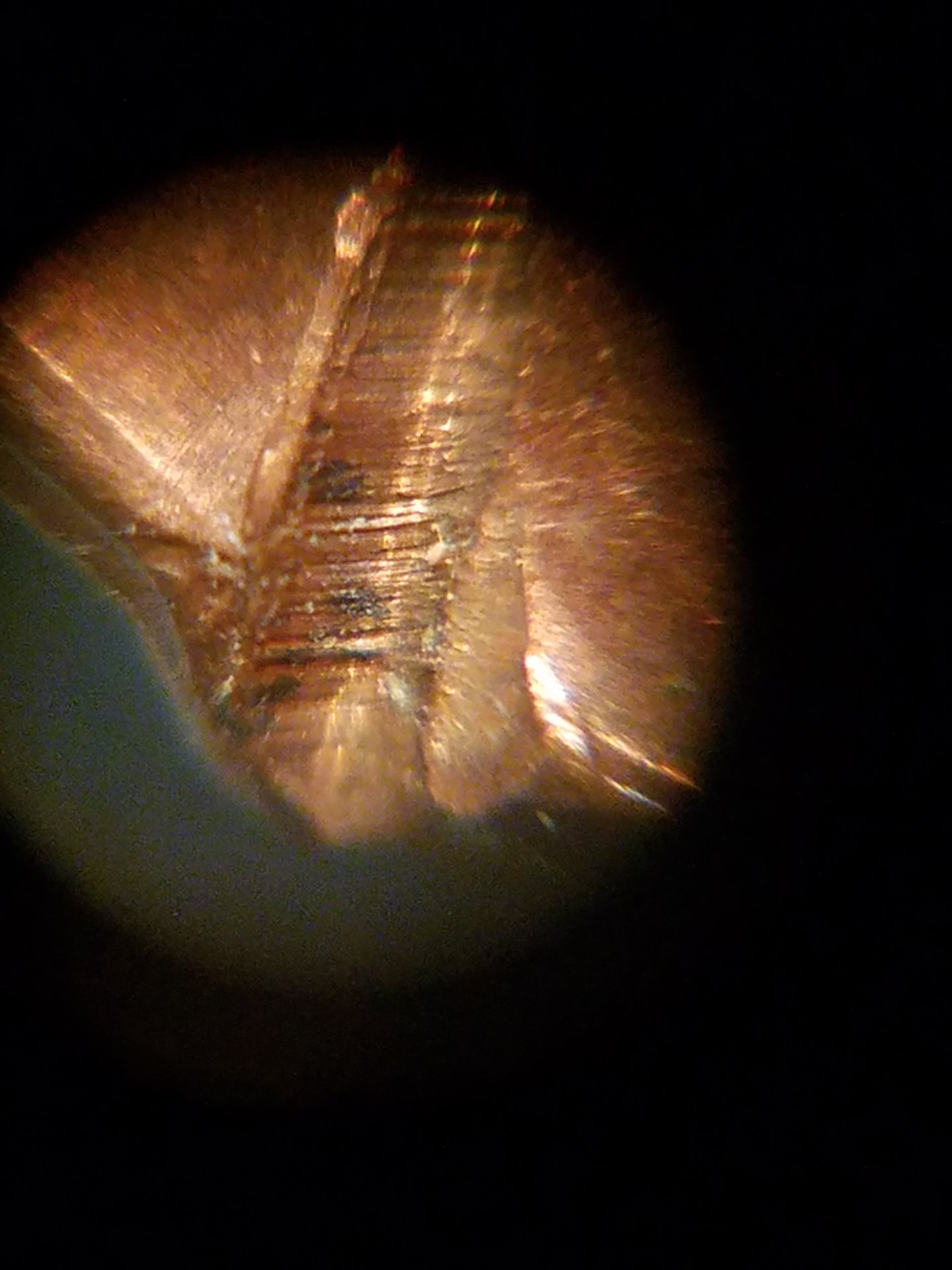 20180315_194209.jpg