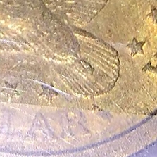 20180316_191814.jpg