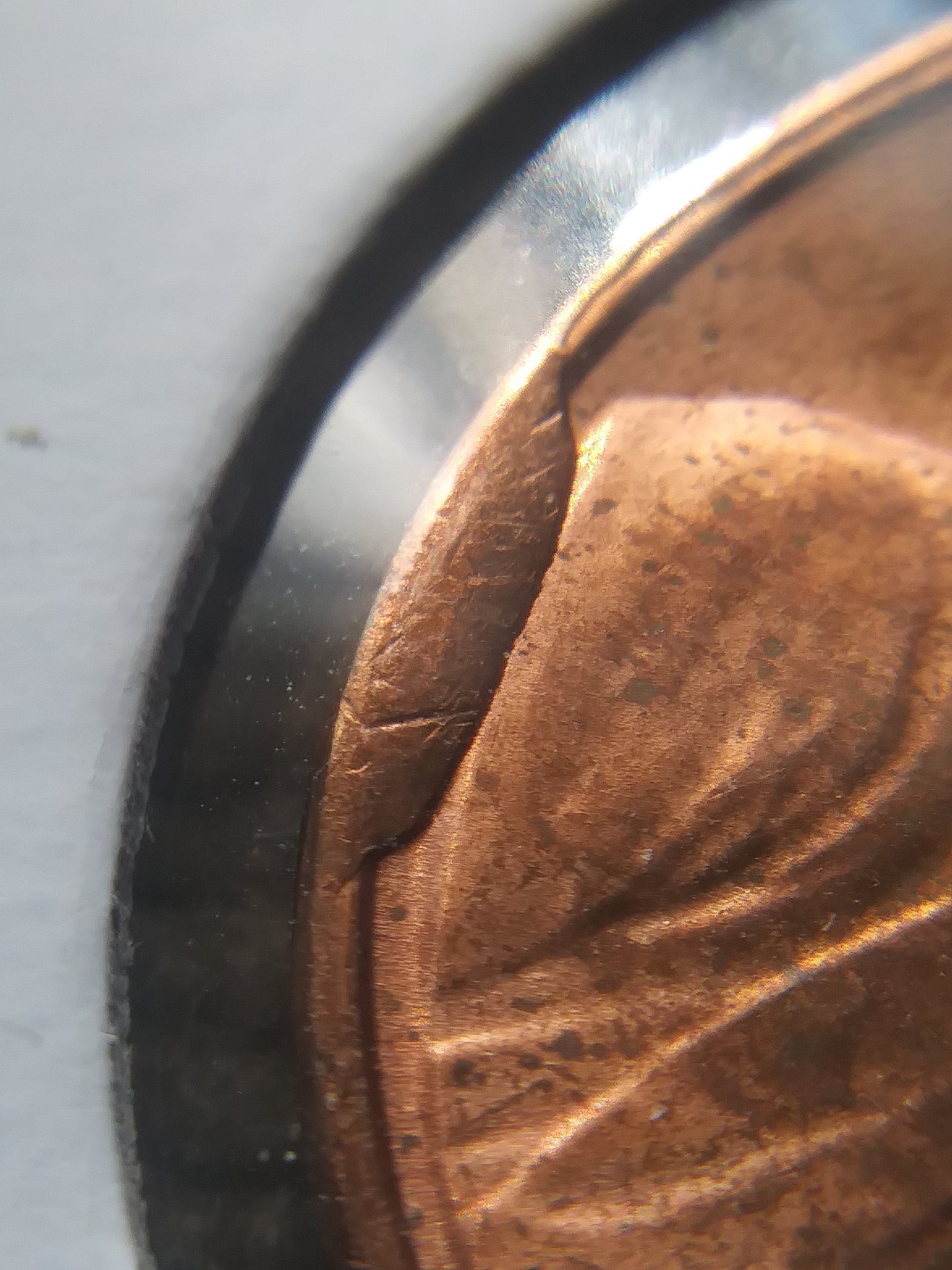 20180317_111847.jpg