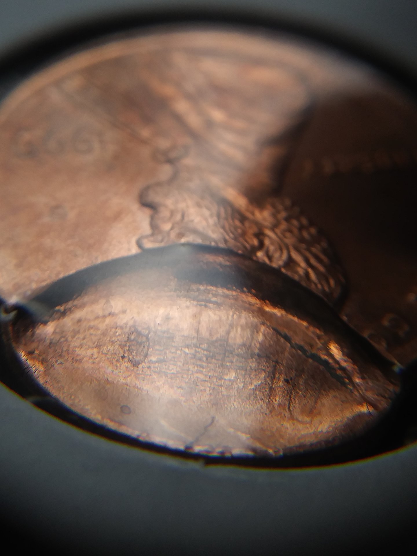 20180317_114050.jpg