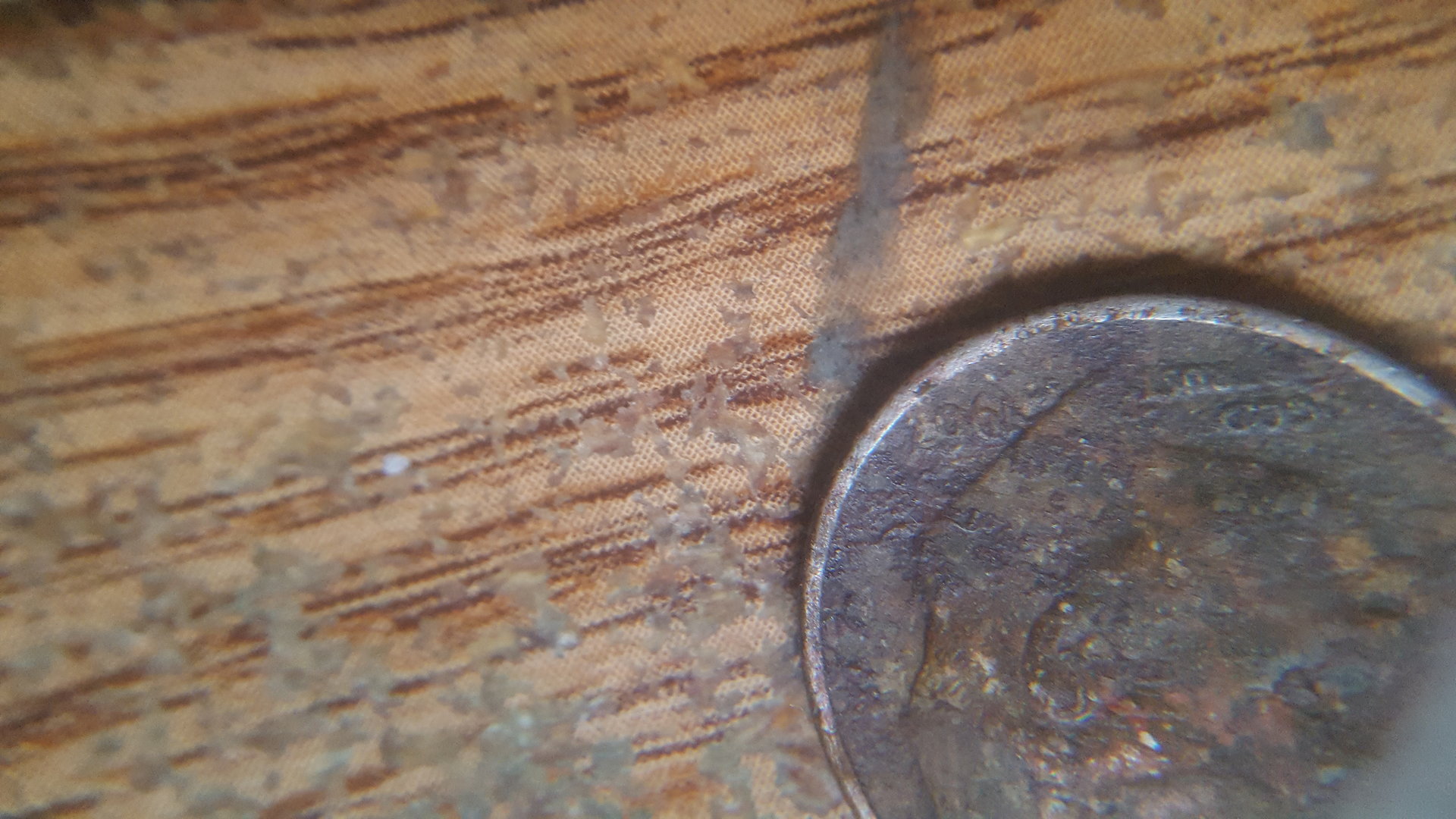 20180317_190026.jpg