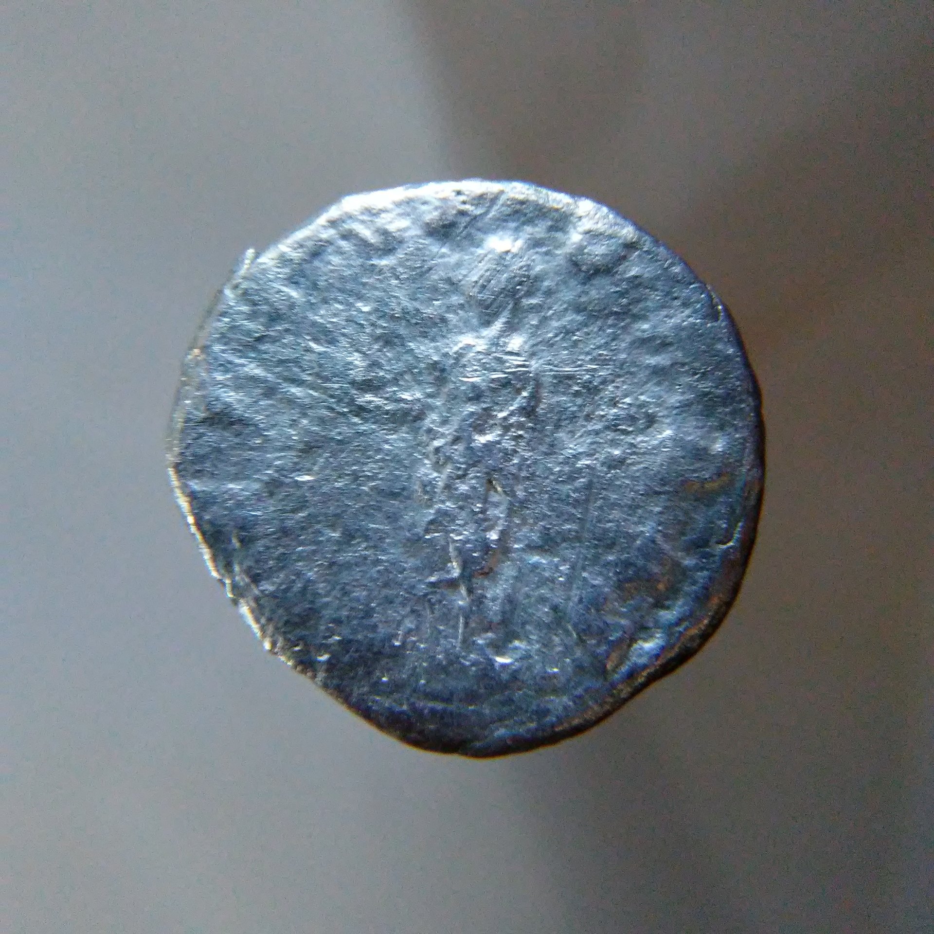 20180318_170550.jpg