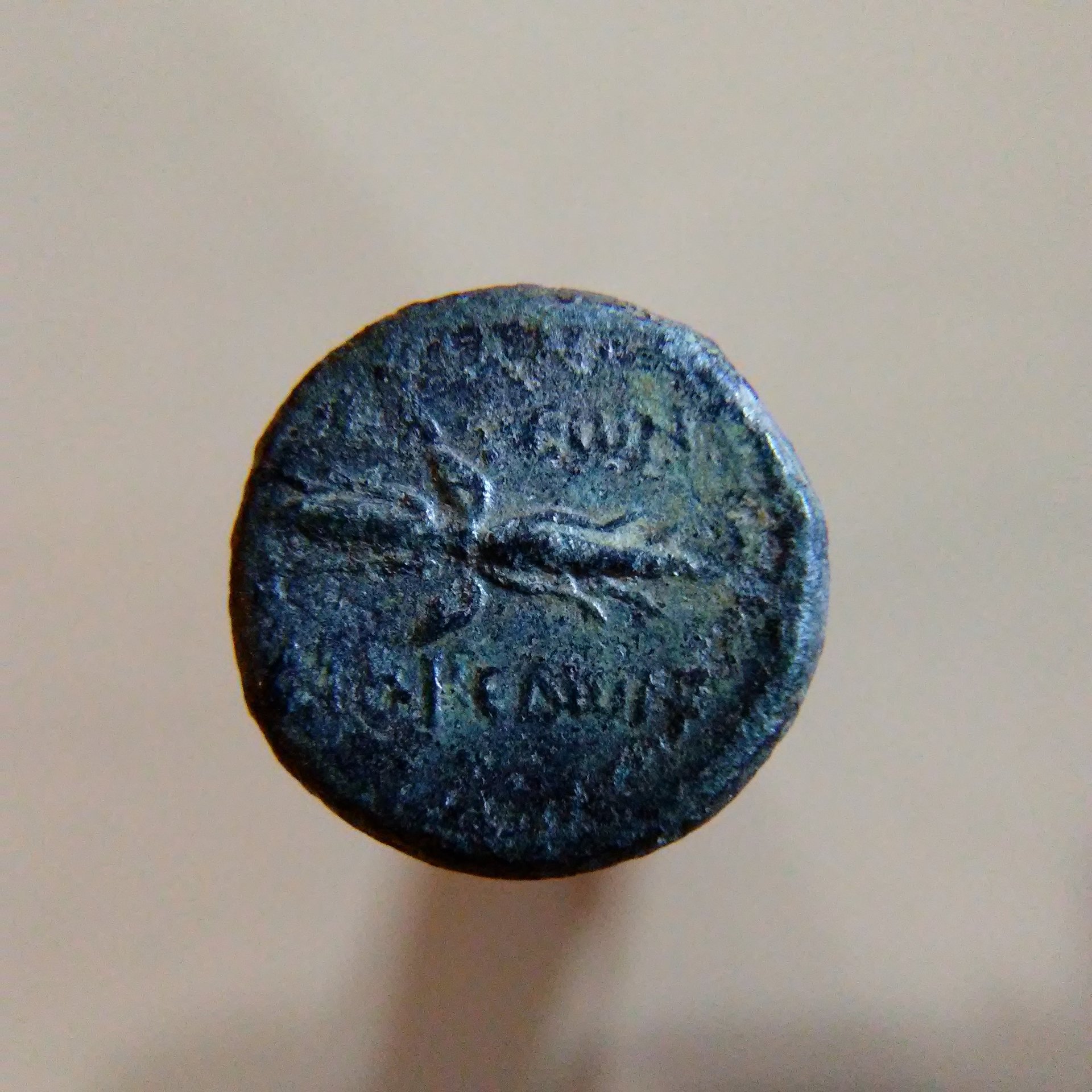 20180320_211614.jpg