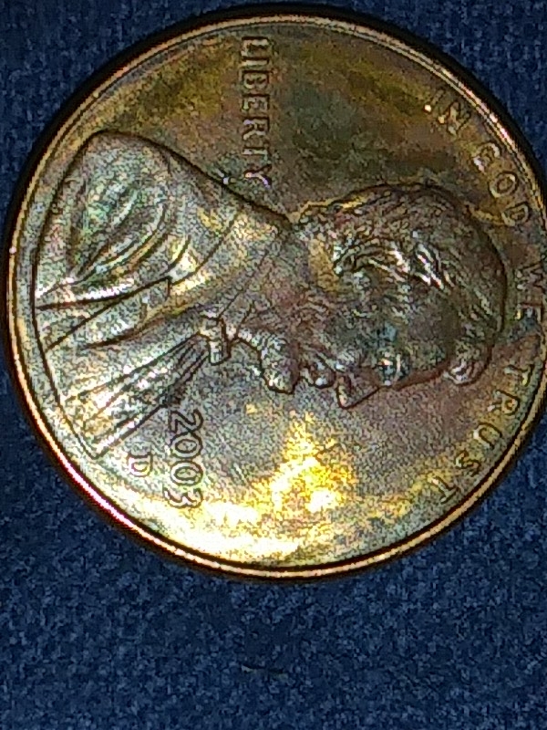 20180324_221829.jpg