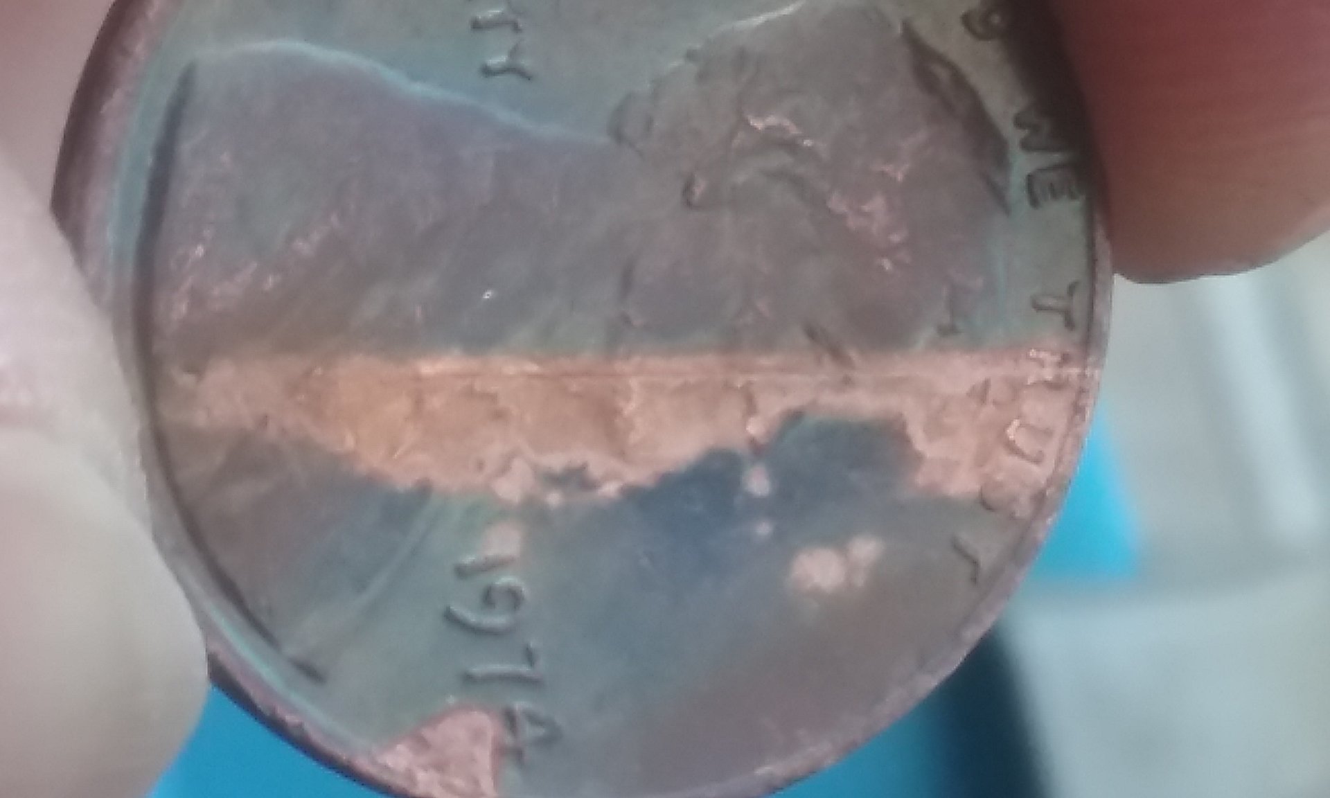20180331_160116.jpg