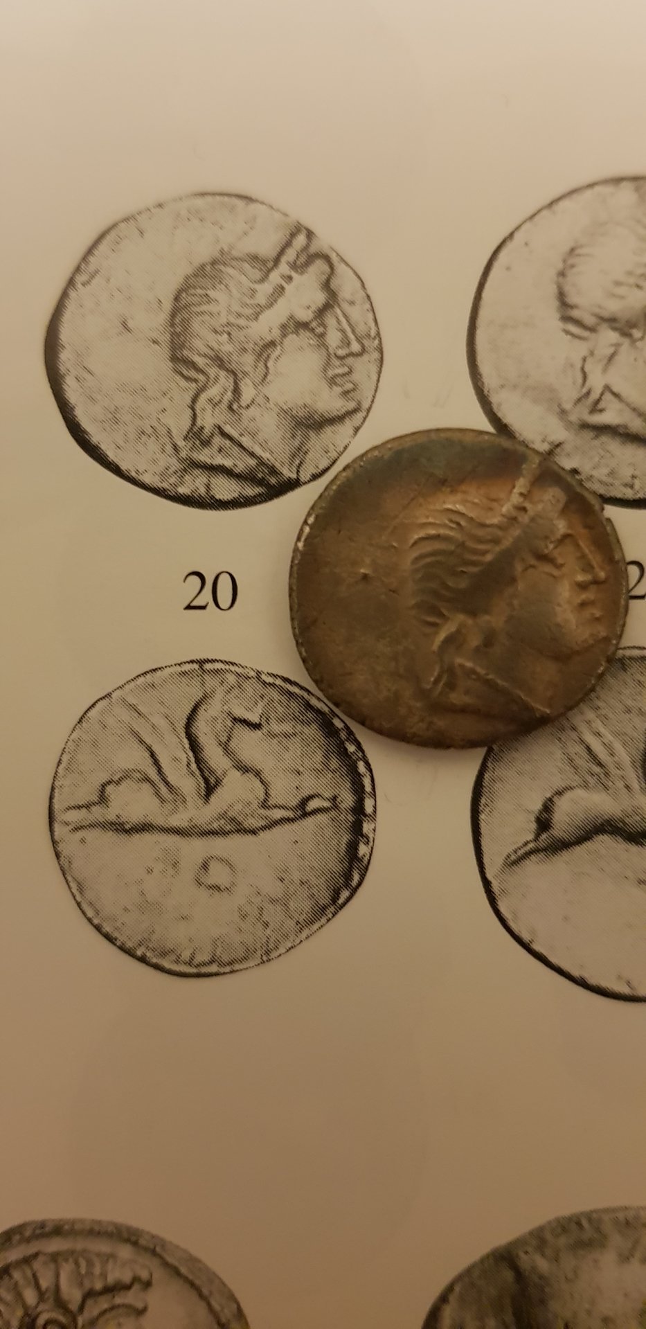 20180403_221705.jpg