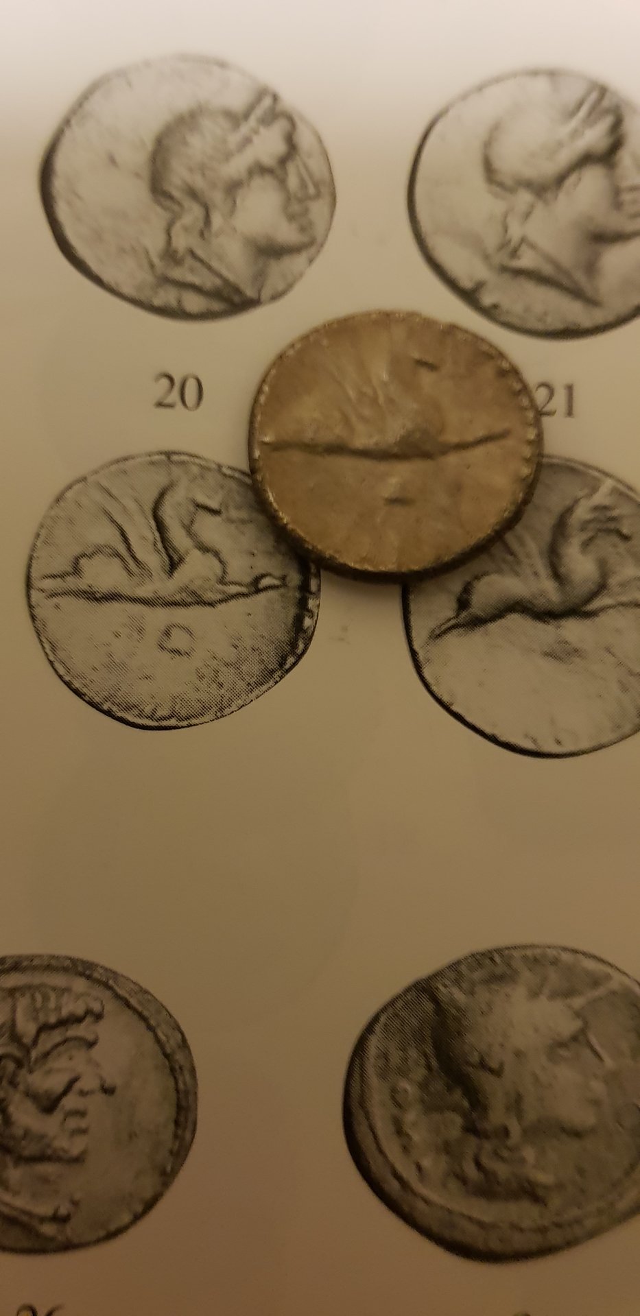 20180403_221922.jpg