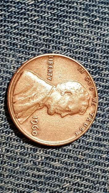 20180407_164724.jpg