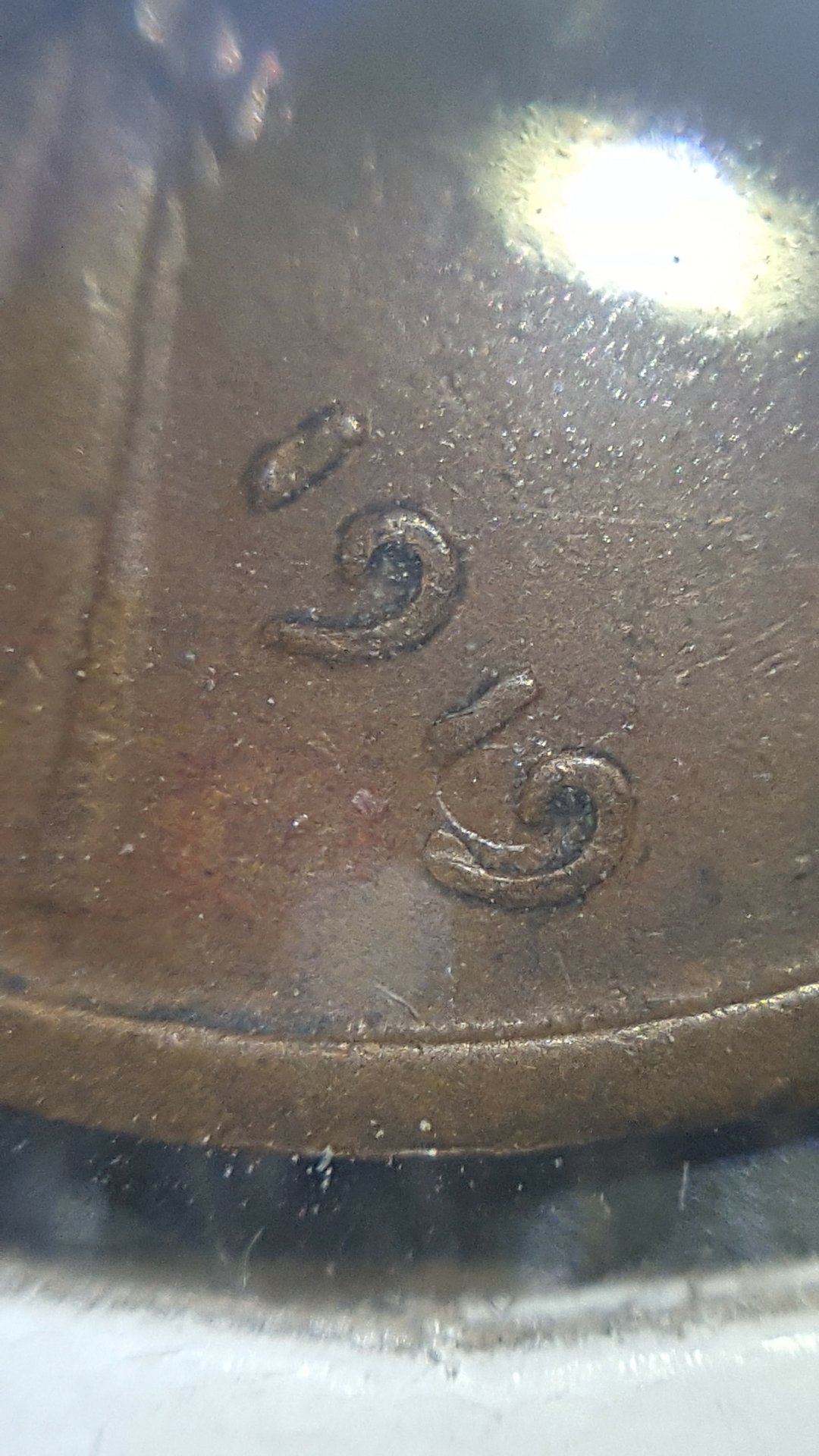20180407_174427.jpg