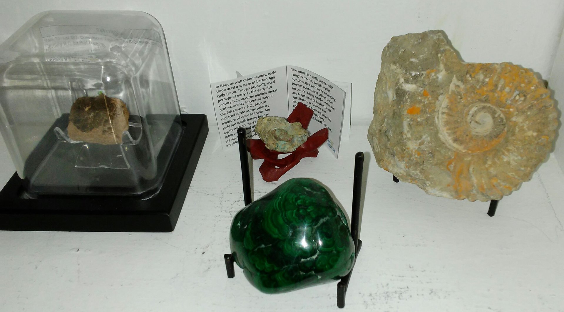 20180409_161345.jpg