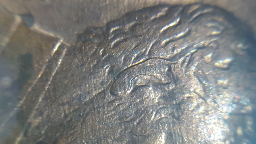 20180410_052121.jpg