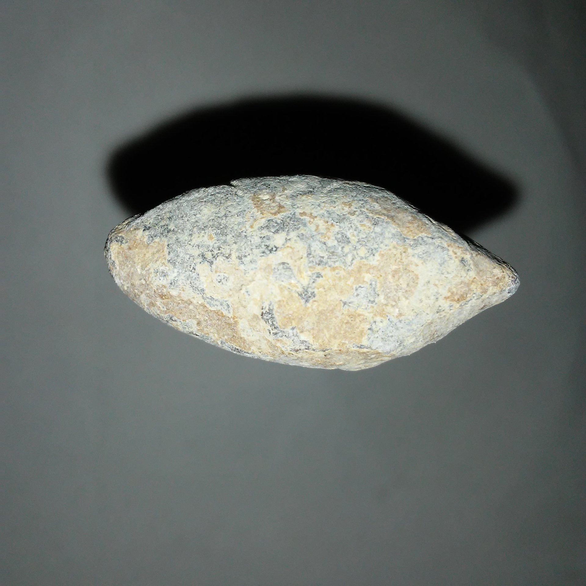 20180413_170643.jpg