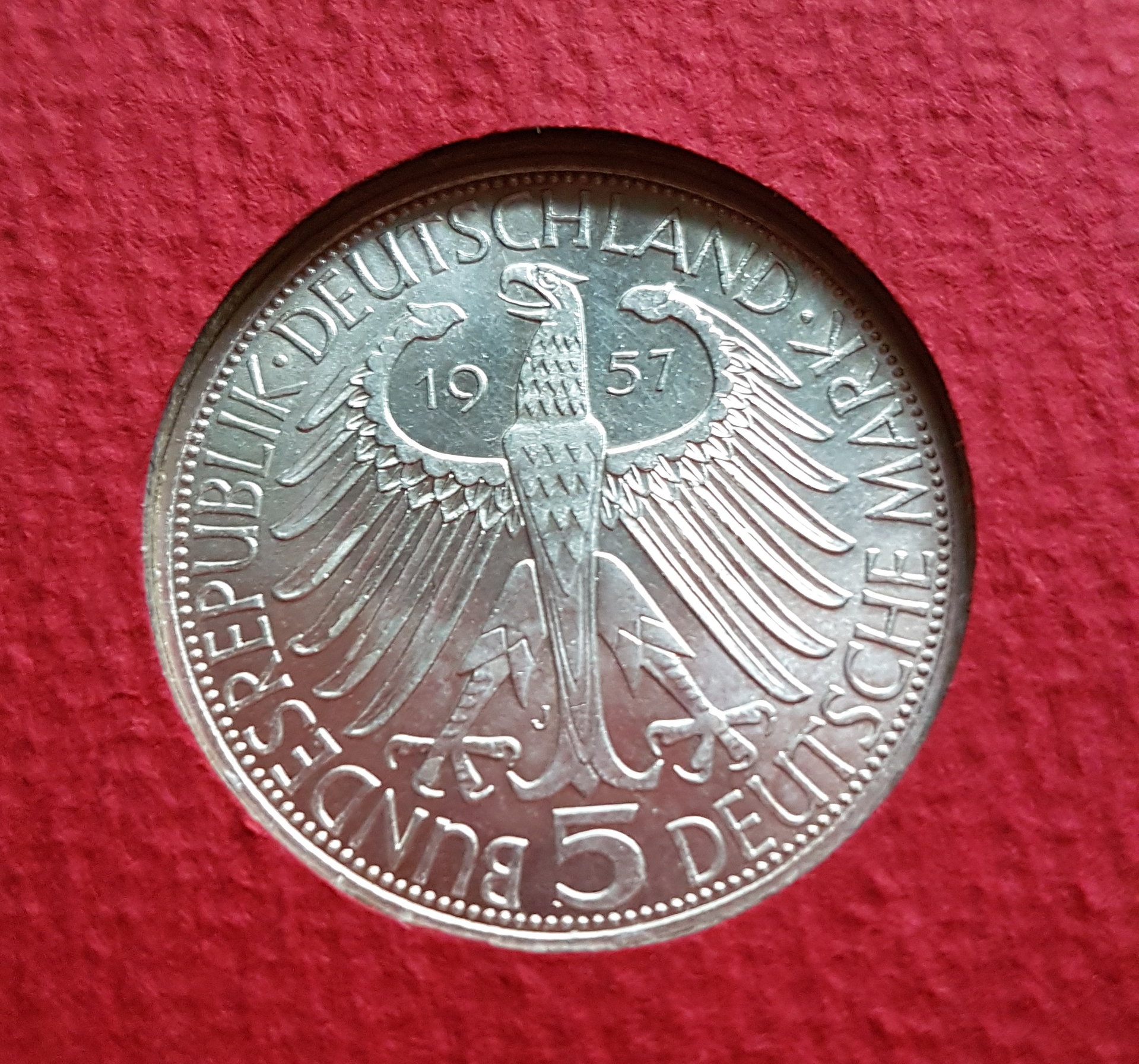 20180417_110229.jpg