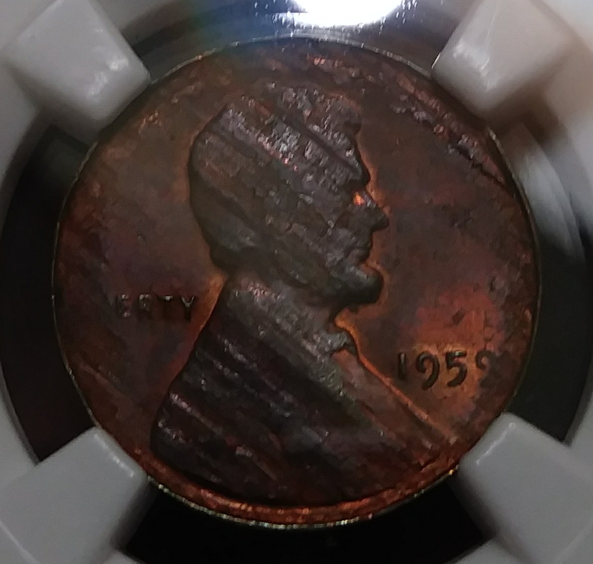 20180417_170457-1.jpg