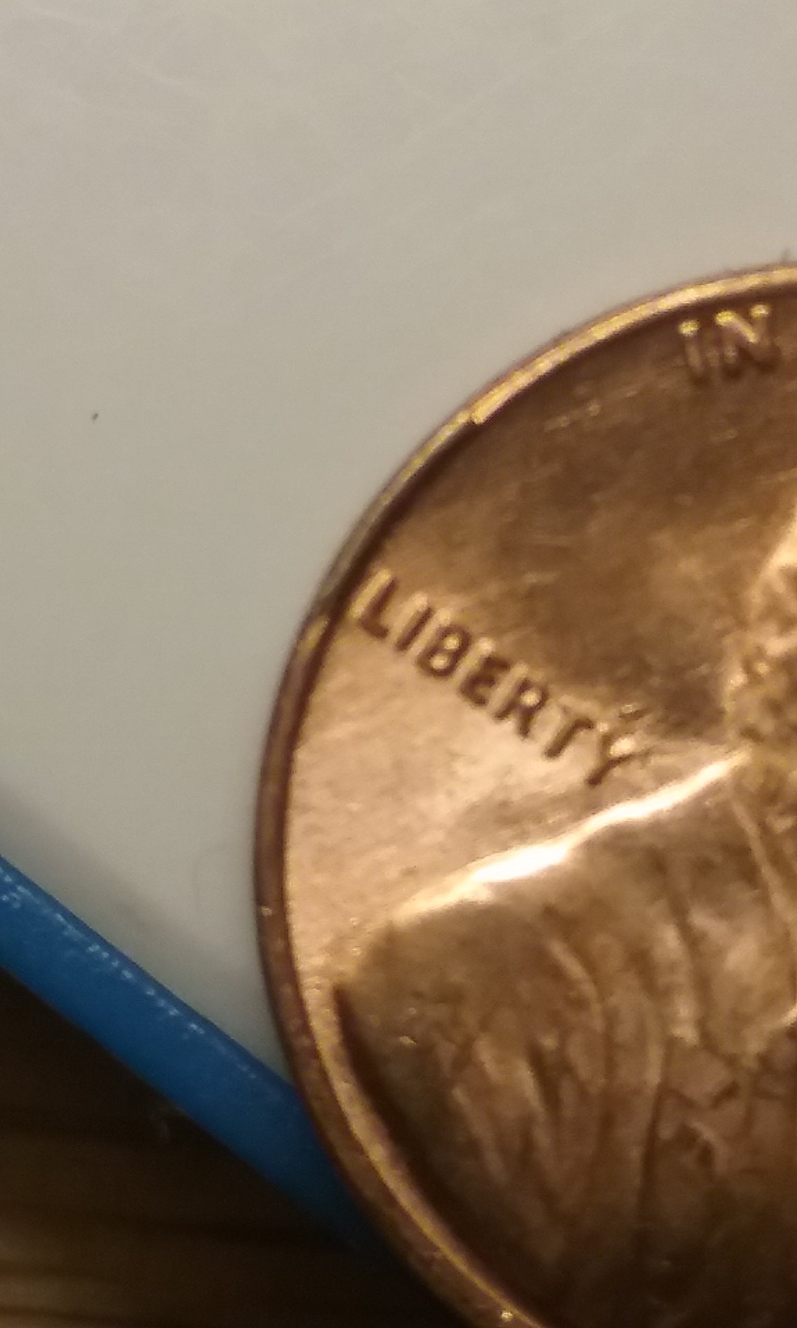 20180423_115206.jpg